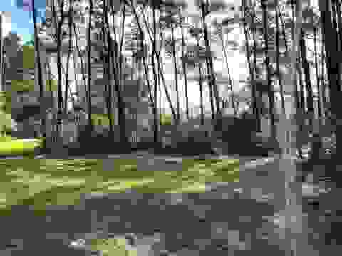 Tiny photo for xxx Peggy Lane, Carrabelle, FL 32322 (MLS # 401495)