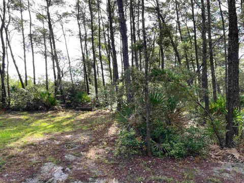 Tiny photo for xxx Peggy Lane, Carrabelle, FL 32322 (MLS # 401495)
