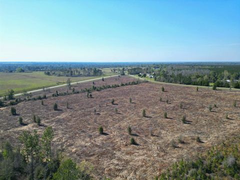 Tiny photo for TBD, Lot #2 SW County Road 275, Blountstown, FL 32424 (MLS # 397926)