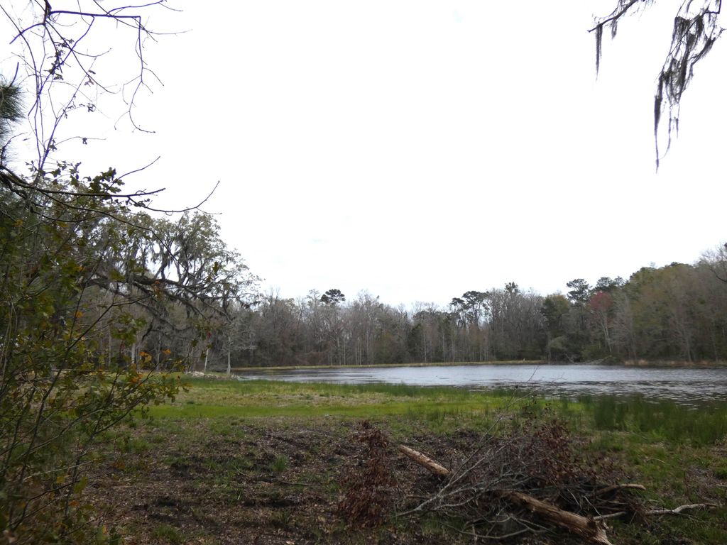 Photo of TBD Rainey Run, Monticello, FL 32344 (MLS # 393344)