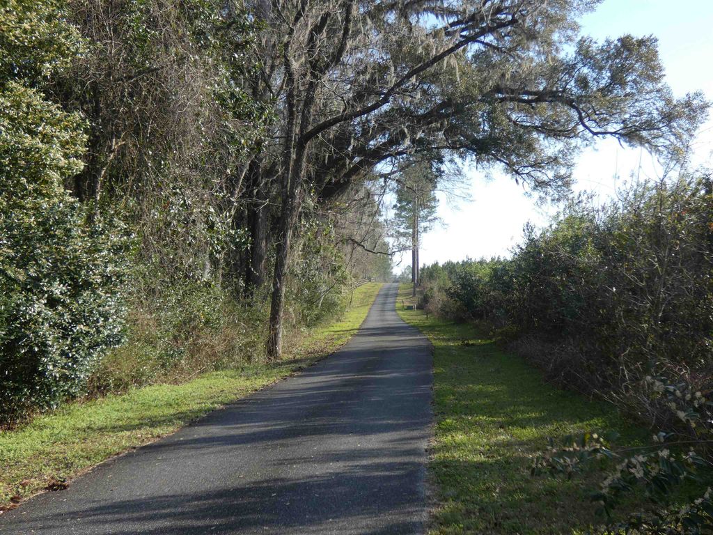 Photo of TBD Rainey Run, Monticello, FL 32344 (MLS # 393344)
