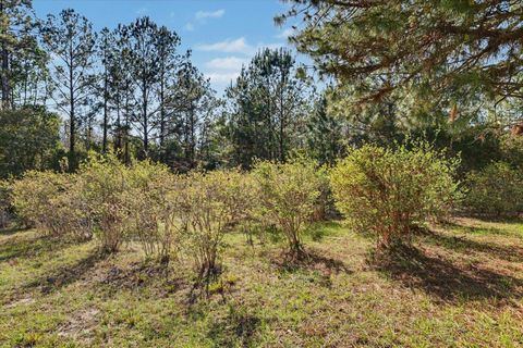 Tiny photo for 2184 Tram Road, Monticello, FL 32344 (MLS # 397677)