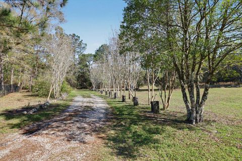 Tiny photo for 2184 Tram Road, Monticello, FL 32344 (MLS # 397677)