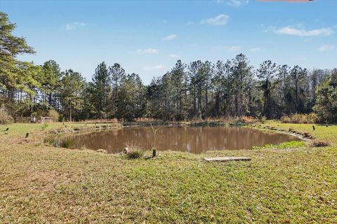 Tiny photo for 2184 Tram Road, Monticello, FL 32344 (MLS # 397677)