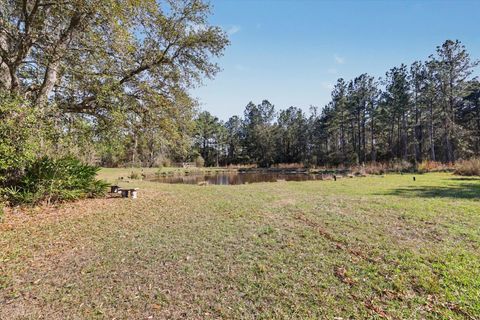 Tiny photo for 2184 Tram Road, Monticello, FL 32344 (MLS # 397677)