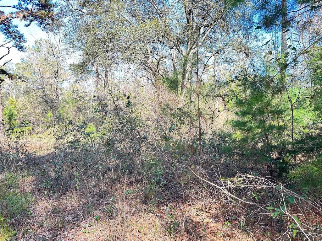 Photo of TERN Road #II, Tallahassee, FL 32305 (MLS # 395549)