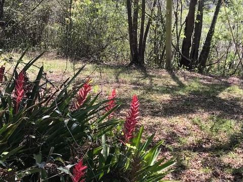 Tiny photo for 12 Lake Essay Drive, Panacea, FL 32346 (MLS # 397896)