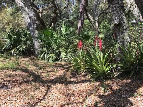 Tiny photo for 12 Lake Essay Drive, Panacea, FL 32346 (MLS # 397896)