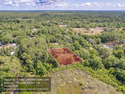 Tiny photo for 12 Lake Essay Drive, Panacea, FL 32346 (MLS # 397896)