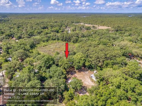 Tiny photo for 12 Lake Essay Drive, Panacea, FL 32346 (MLS # 397896)