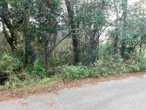 Tiny photo for 3514 Lillian Road, Tallahassee, FL 32305 (MLS # 394583)