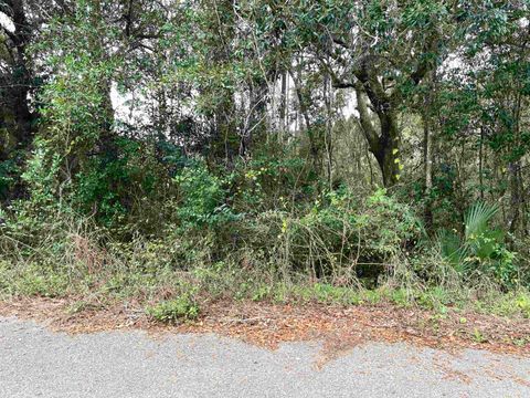 Tiny photo for 3514 Lillian Road, Tallahassee, FL 32305 (MLS # 394583)
