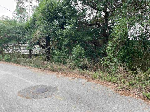 Tiny photo for 3514 Lillian Road, Tallahassee, FL 32305 (MLS # 394583)