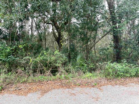 Tiny photo for 3514 Lillian Road, Tallahassee, FL 32305 (MLS # 394583)