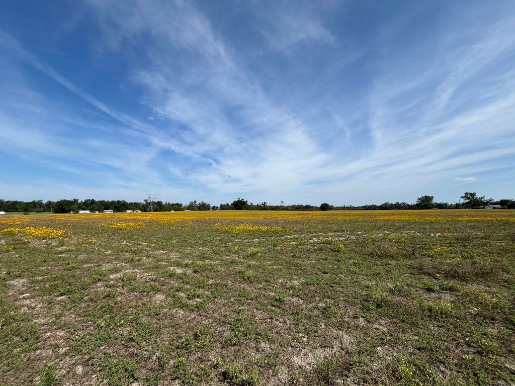 Photo of Vacant NE Dill Street, Lee, FL 32340 (MLS # 400258)