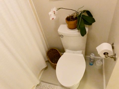 Tiny photo for 5434 Blackberry Lane, Tallahassee, FL 32311 (MLS # 393613)