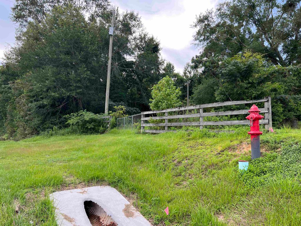 Photo of 18701 Blue Star Highway, Quincy, FL 32351 (MLS # 382136)