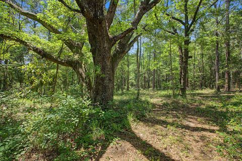 Tiny photo for 7000 VETERANS MEMORIAL Drive, Tallahassee, FL 32309 (MLS # 400262)