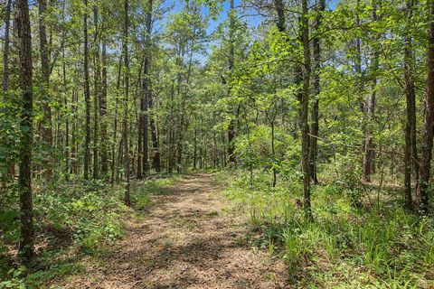 Tiny photo for 7000 VETERANS MEMORIAL Drive, Tallahassee, FL 32309 (MLS # 400262)