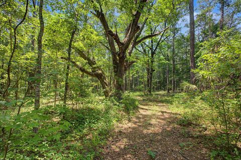 Tiny photo for 7000 VETERANS MEMORIAL Drive, Tallahassee, FL 32309 (MLS # 400262)