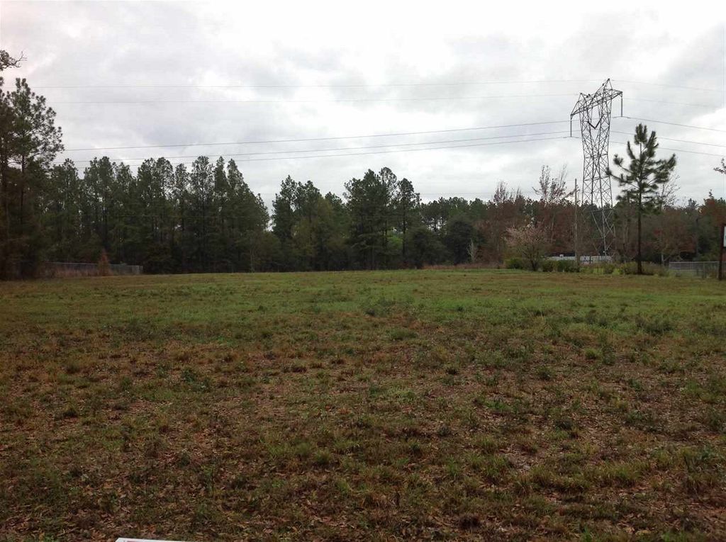 Photo of Wakulla Arran Road #0, Crawfordville, FL 32327 (MLS # 392030)