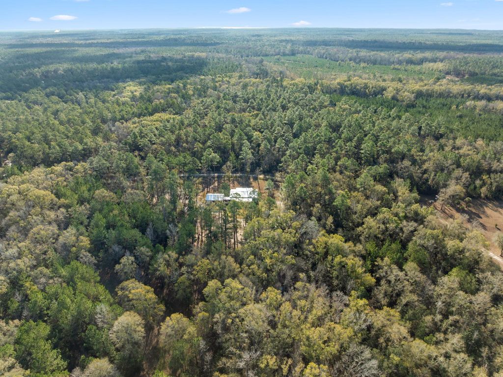 Photo of 154 PANTON LESLIE Lane, Crawfordville, FL 32327 (MLS # 395077)