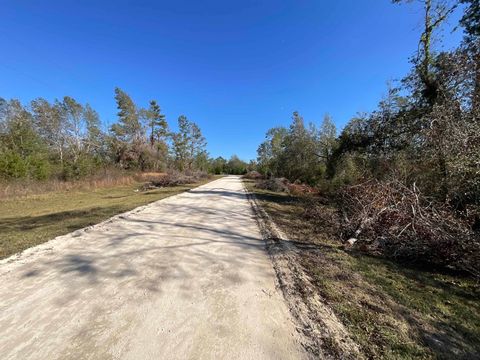 Tiny photo for Vacant SE Blackhawk Drive, Lee, FL 32059 (MLS # 398017)