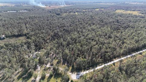 Tiny photo for Vacant SE Blackhawk Drive, Lee, FL 32059 (MLS # 398017)