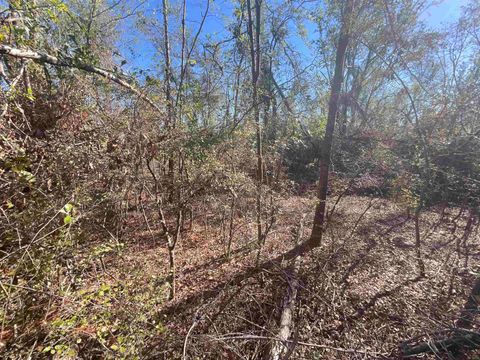 Tiny photo for Vacant SE Blackhawk Drive, Lee, FL 32059 (MLS # 398017)