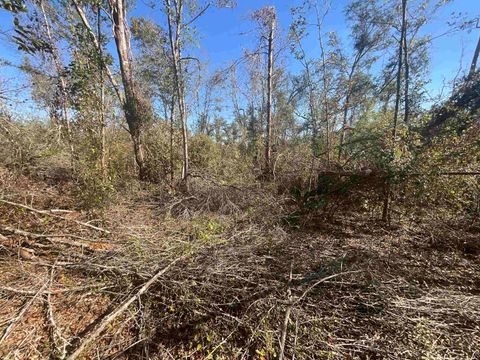 Tiny photo for Vacant SE Blackhawk Drive, Lee, FL 32059 (MLS # 398017)