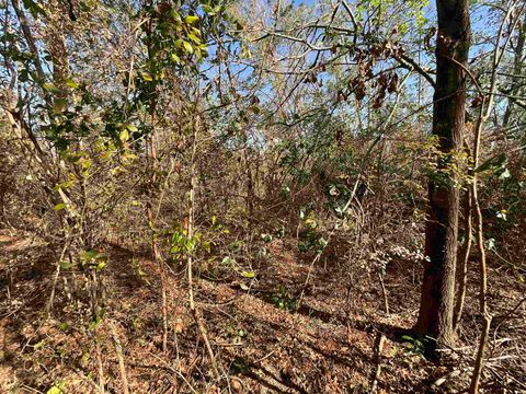 Tiny photo for Vacant SE Blackhawk Drive, Lee, FL 32059 (MLS # 398017)