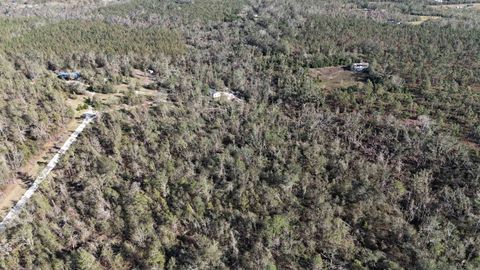 Tiny photo for Vacant SE Blackhawk Drive, Lee, FL 32059 (MLS # 398017)