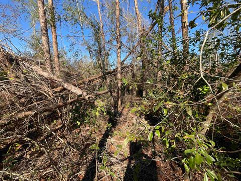 Tiny photo for Vacant SE Blackhawk Drive, Lee, FL 32059 (MLS # 398017)