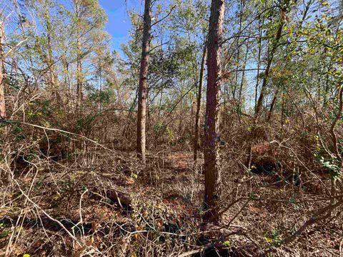 Tiny photo for Vacant SE Blackhawk Drive, Lee, FL 32059 (MLS # 398017)