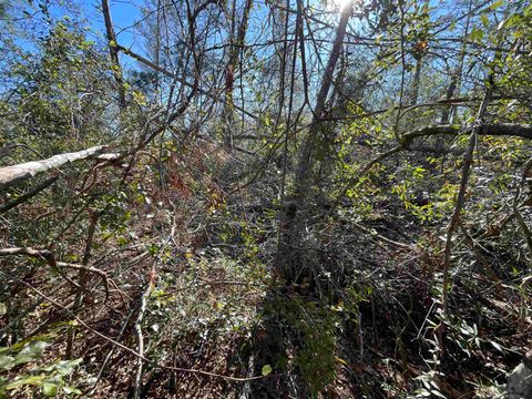 Tiny photo for Vacant SE Blackhawk Drive, Lee, FL 32059 (MLS # 398017)