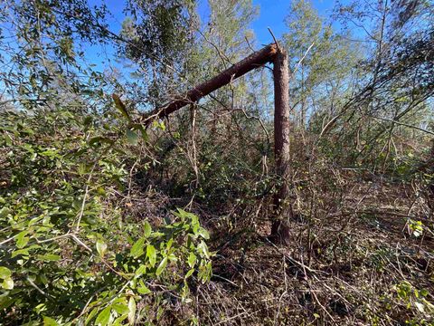 Tiny photo for Vacant SE Blackhawk Drive, Lee, FL 32059 (MLS # 398017)