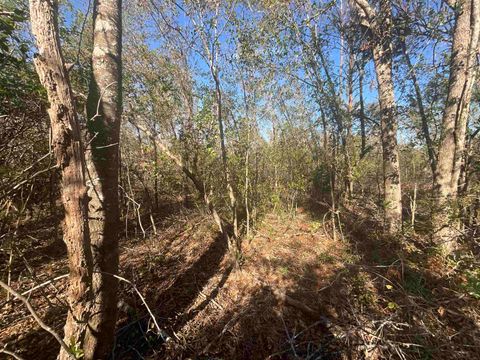 Tiny photo for Vacant SE Blackhawk Drive, Lee, FL 32059 (MLS # 398017)