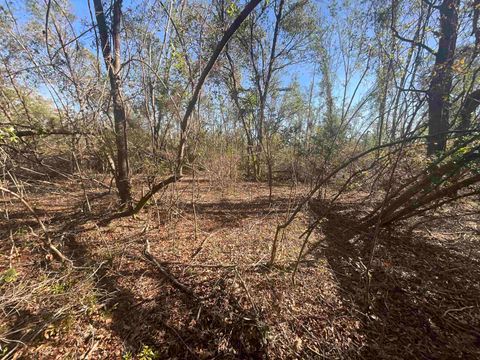 Tiny photo for Vacant SE Blackhawk Drive, Lee, FL 32059 (MLS # 398017)