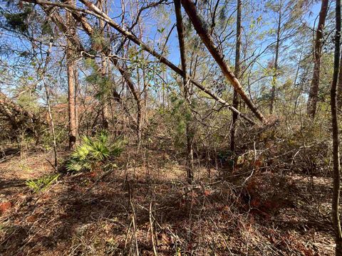 Tiny photo for Vacant SE Blackhawk Drive, Lee, FL 32059 (MLS # 398017)