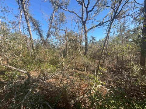 Tiny photo for Vacant SE Blackhawk Drive, Lee, FL 32059 (MLS # 398017)