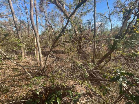 Tiny photo for Vacant SE Blackhawk Drive, Lee, FL 32059 (MLS # 398017)
