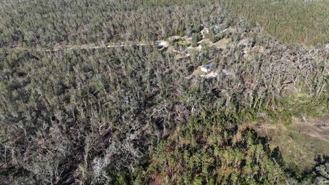 Tiny photo for Vacant SE Blackhawk Drive, Lee, FL 32059 (MLS # 398017)