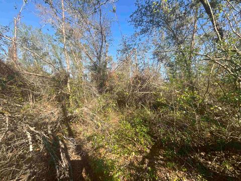 Tiny photo for Vacant SE Blackhawk Drive, Lee, FL 32059 (MLS # 398017)