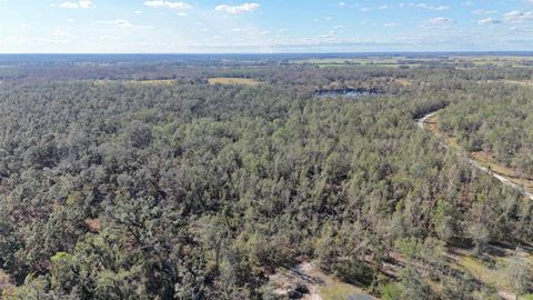 Tiny photo for Vacant SE Blackhawk Drive, Lee, FL 32059 (MLS # 398017)