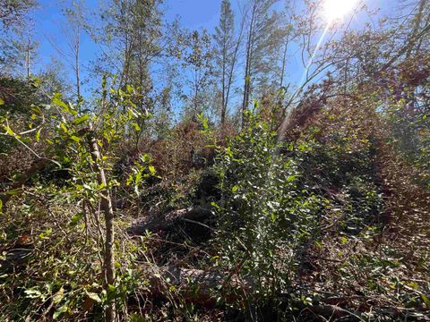 Tiny photo for Vacant SE Blackhawk Drive, Lee, FL 32059 (MLS # 398017)