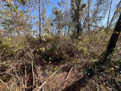 Tiny photo for Vacant SE Blackhawk Drive, Lee, FL 32059 (MLS # 398017)