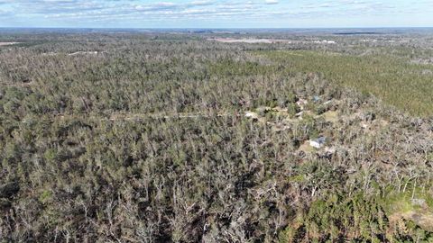 Tiny photo for Vacant SE Blackhawk Drive, Lee, FL 32059 (MLS # 398017)