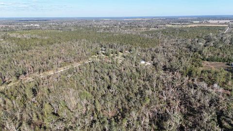 Tiny photo for Vacant SE Blackhawk Drive, Lee, FL 32059 (MLS # 398017)