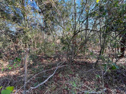 Tiny photo for Vacant SE Blackhawk Drive, Lee, FL 32059 (MLS # 398017)