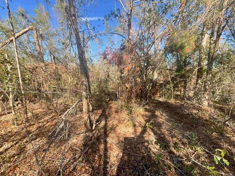 Tiny photo for Vacant SE Blackhawk Drive, Lee, FL 32059 (MLS # 398017)